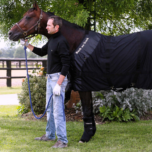 Ytterhölje till Royal Quick Wraps