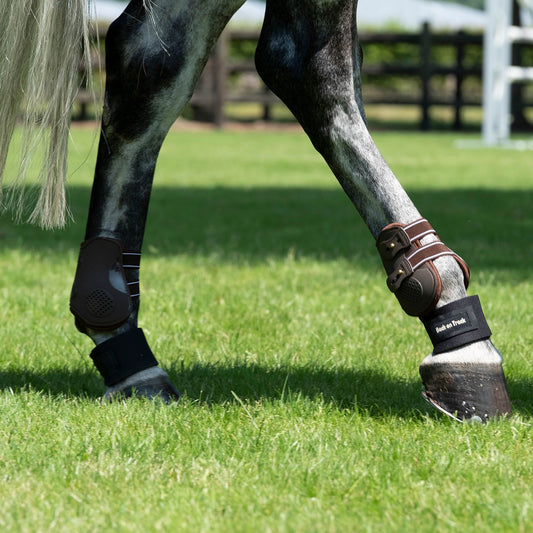 Royal Bagbens Gamacher