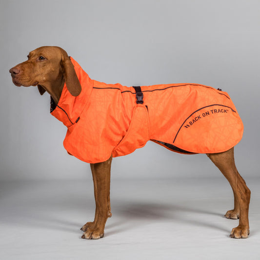 BAY Regndækken, Høj hale