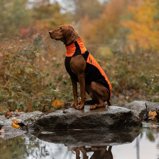BARK Reflekterende Hundetrøje