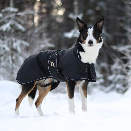 "Sunny" Hundevinterdækken med fyld