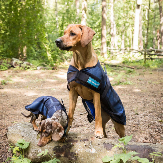 Cool on Track - Comfort cooling in hot temperatures