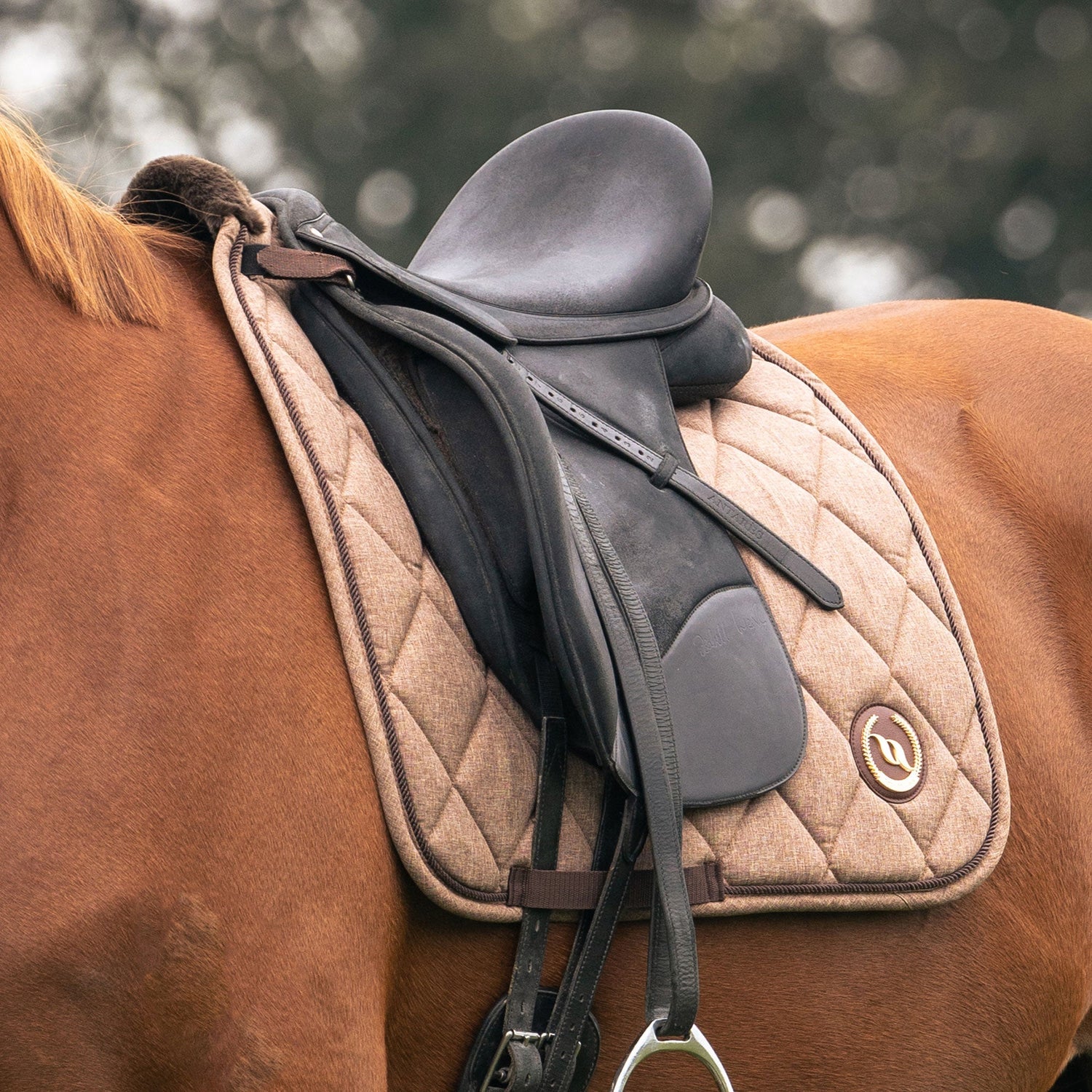 Horse Saddle Pads