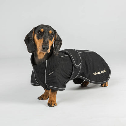 BUDDY 2.0 Netdækken