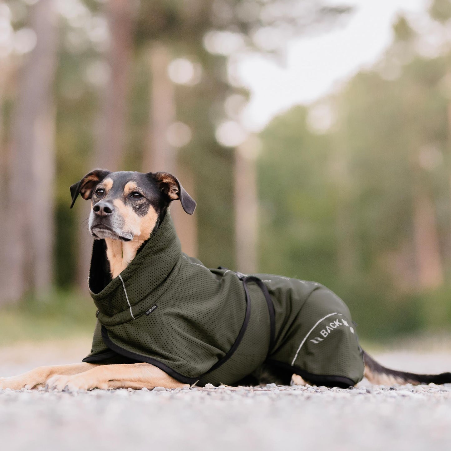 BAY Nättäcke, Högt slut