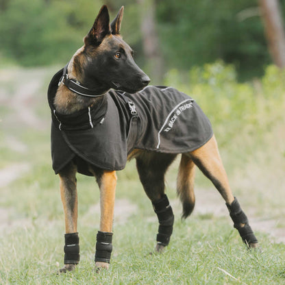 BAY Nättäcke, Lågt slut