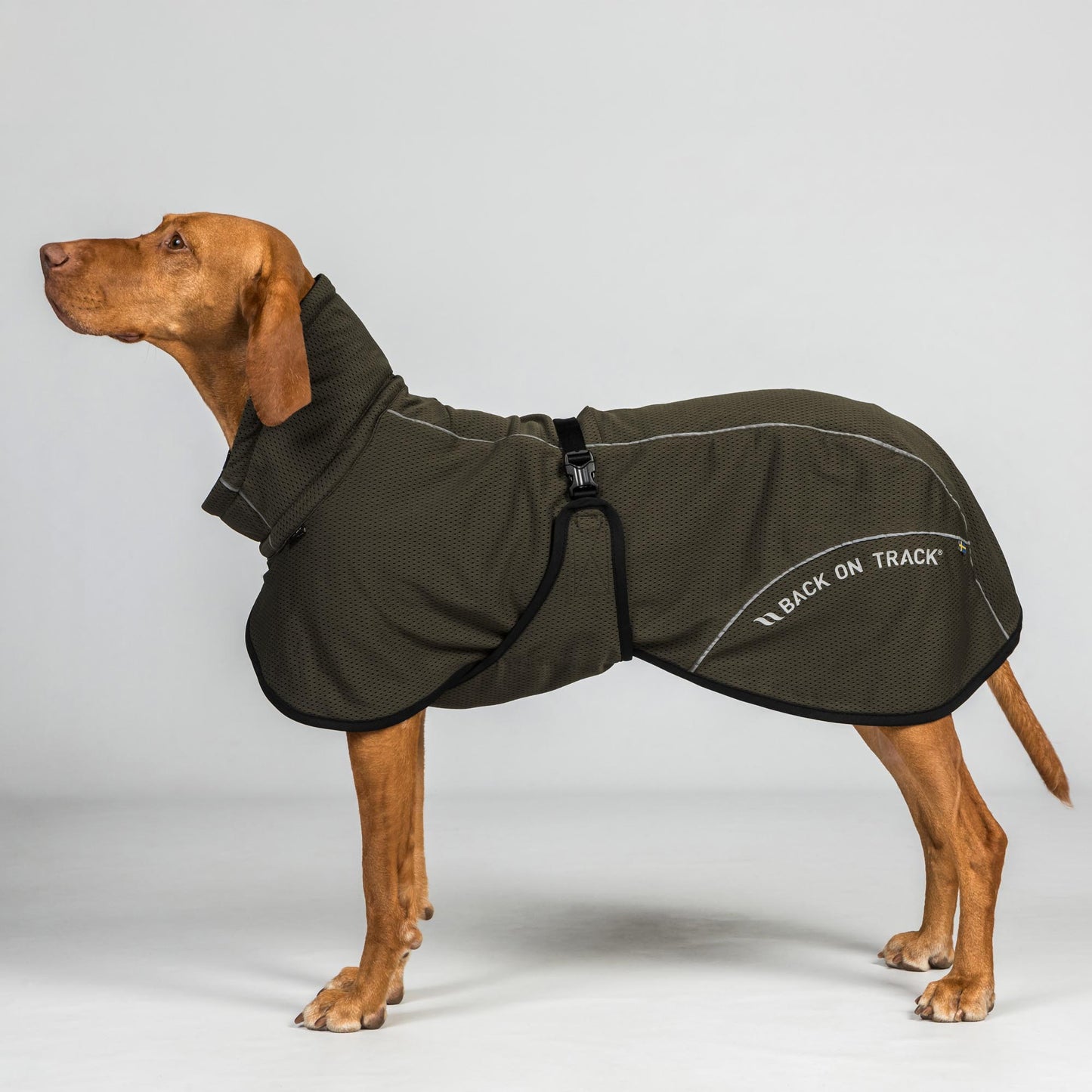 BAY Nättäcke, Lågt slut