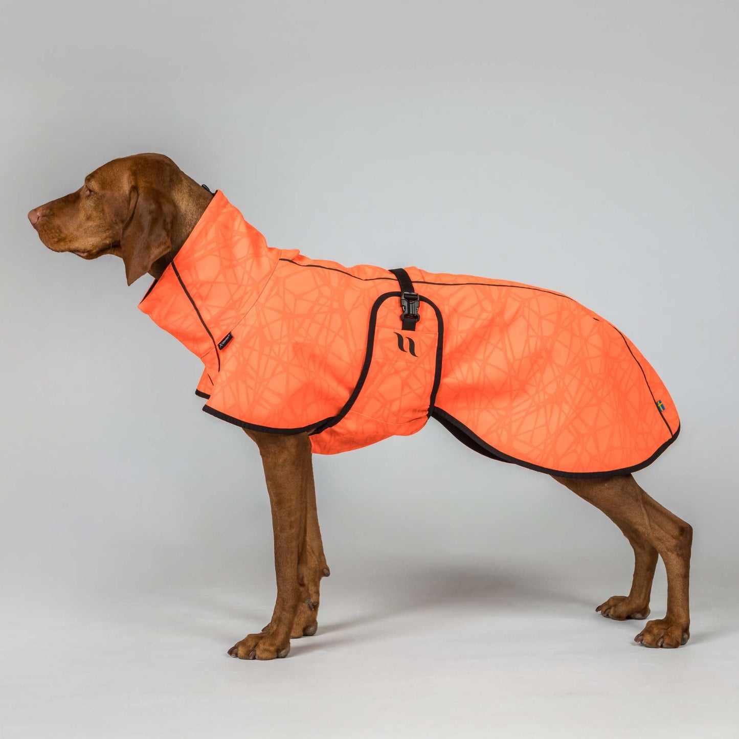 Bark Softshell dækken, Lav hale