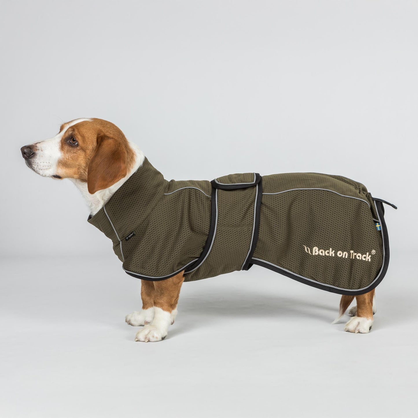 BUDDY 2.0 Netdækken