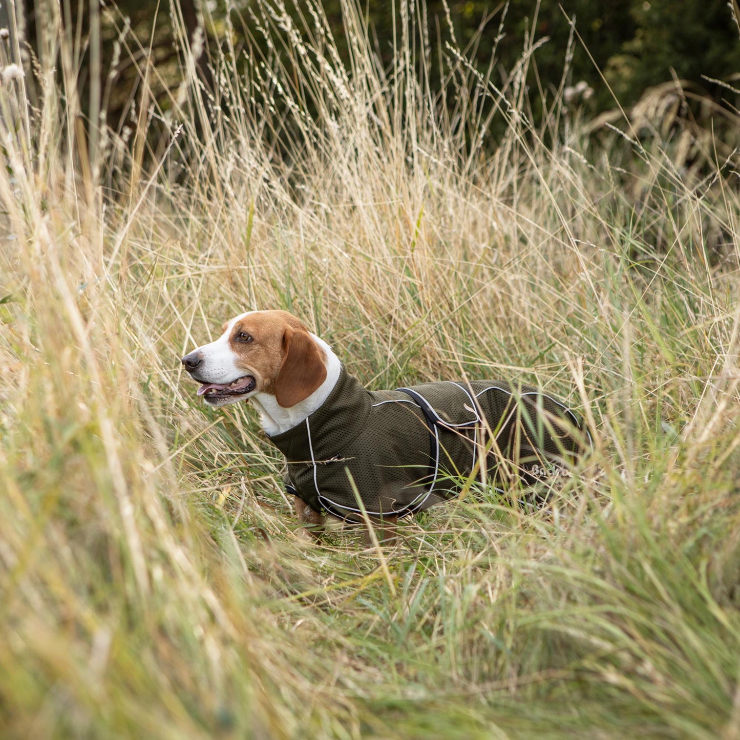 BUDDY 2.0 Netdækken