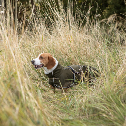 BUDDY 2.0 Netdækken