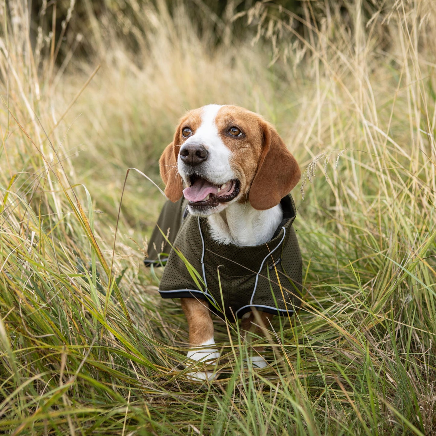 BUDDY 2.0 Netdækken