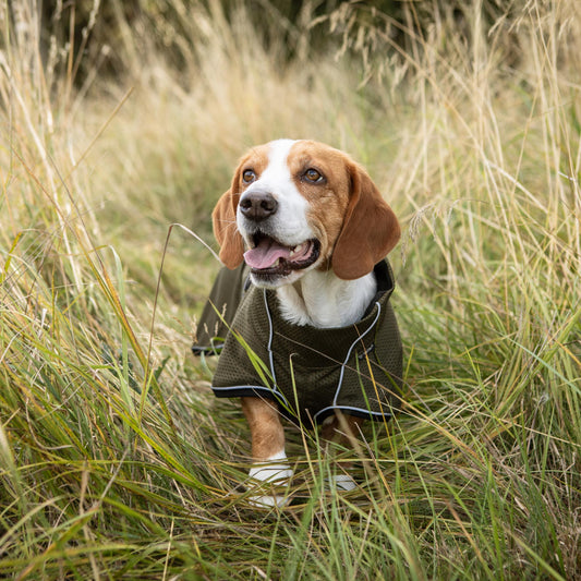 BUDDY 2.0 Netdækken