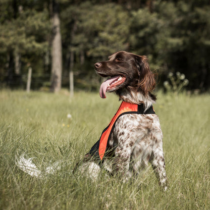 POINT Signalvest Synlighed