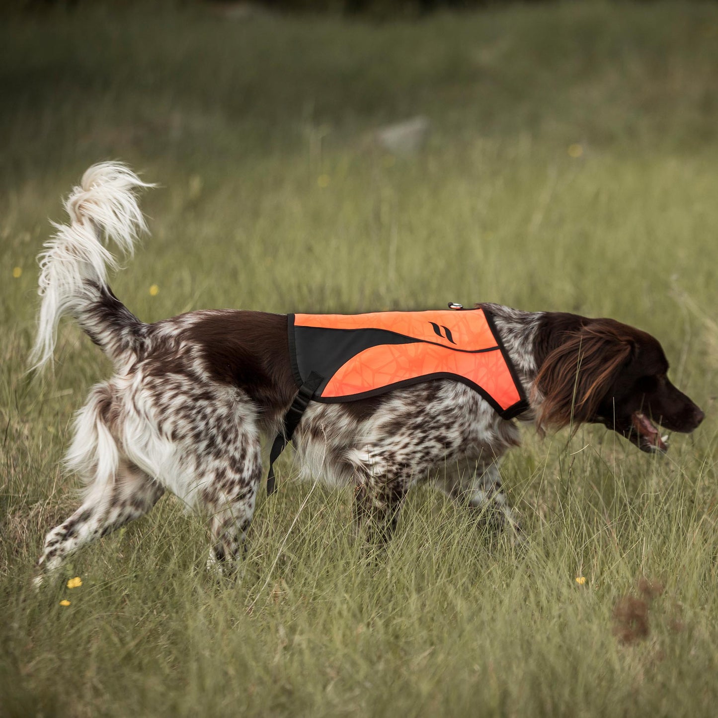POINT Signalvest Synlighed