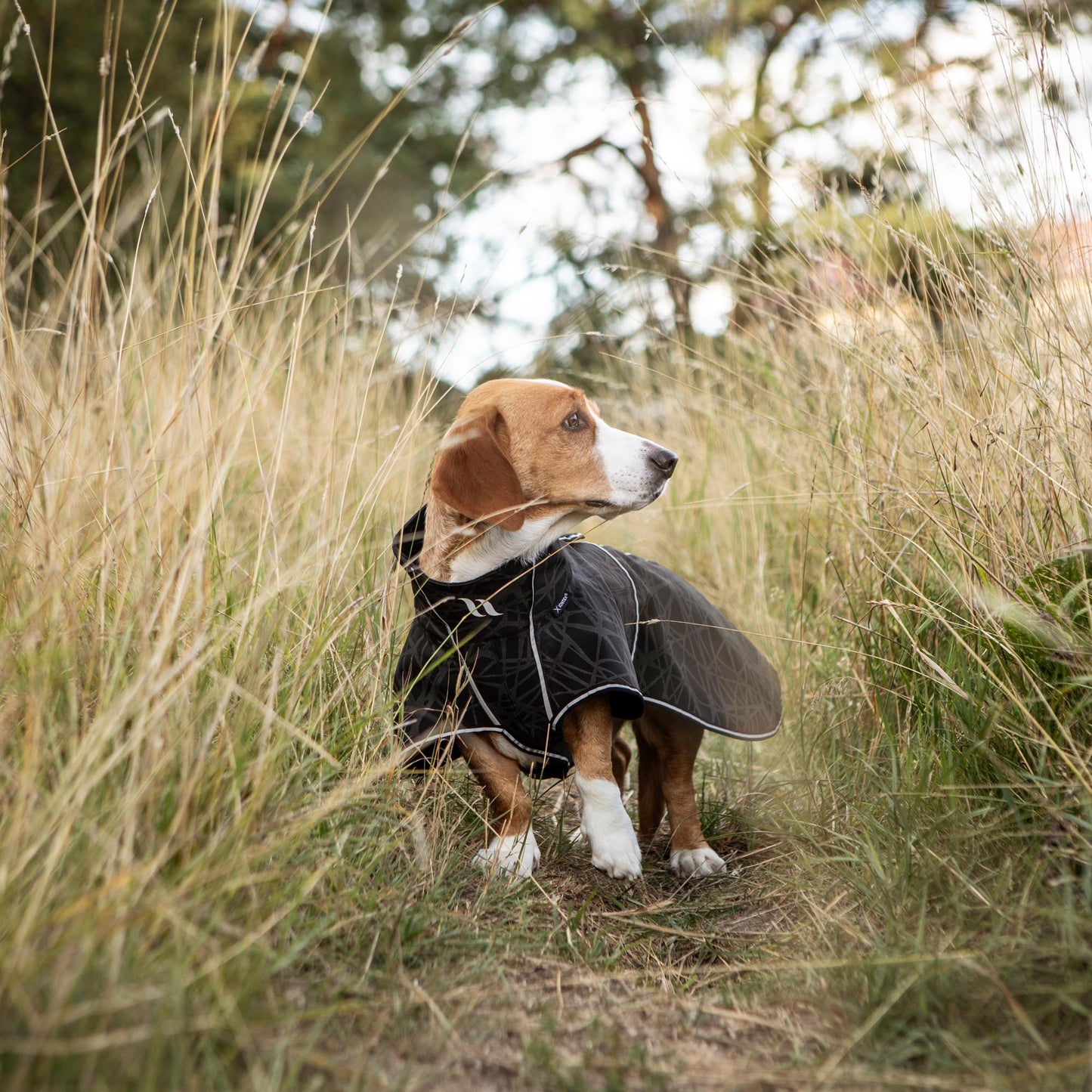 BUDDY 2.0 Softshelltäcke