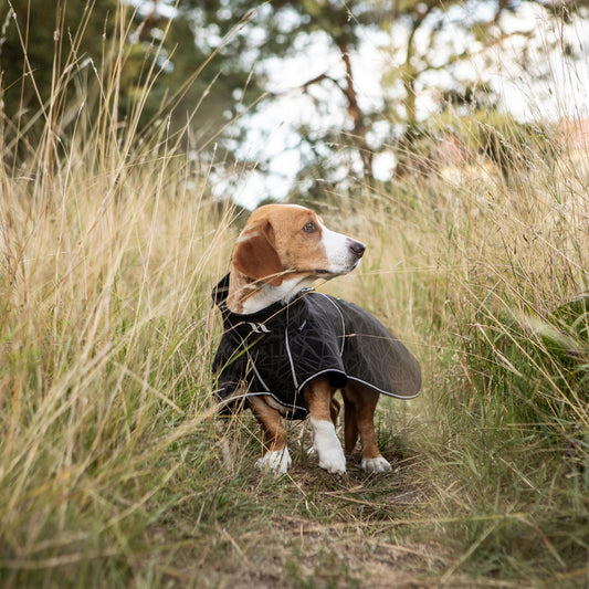 BUDDY 2.0 Softshell dækken