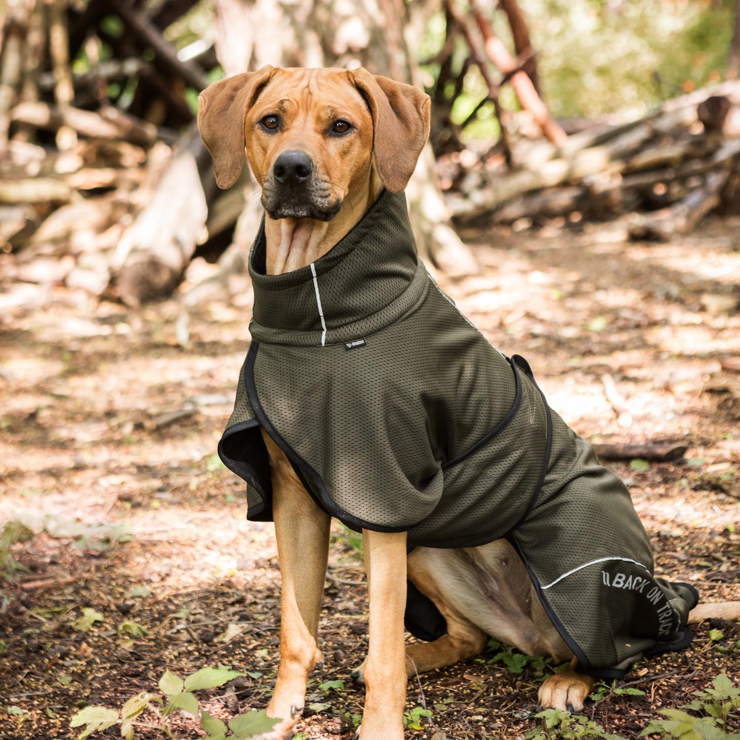 BAY Nättäcke, Lågt slut