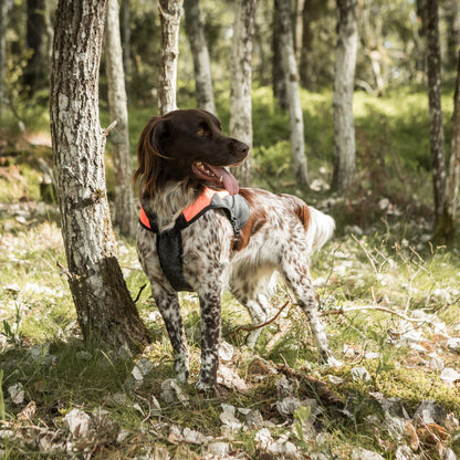 TRAKK Signalväst med skydd för bröst