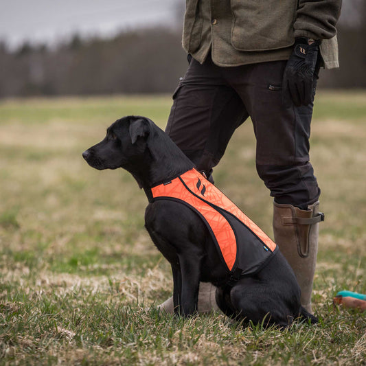 POINT Signalväst Visibility