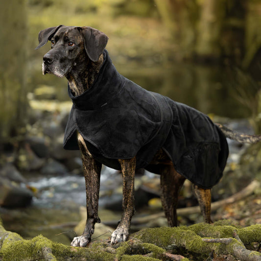 BAY Tørredækken, Lav hale