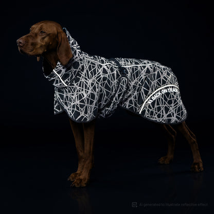 A brown dog wearing a reflective black and white patterned raincoat, standing against a solid black studio background. The coat features a high collar and reflective piping, with 'BACK ON TRACK' printed on the side.