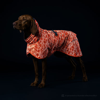 A brown dog wearing a red and white reflective patterned winter coat or blanket, photographed against a solid black studio background.