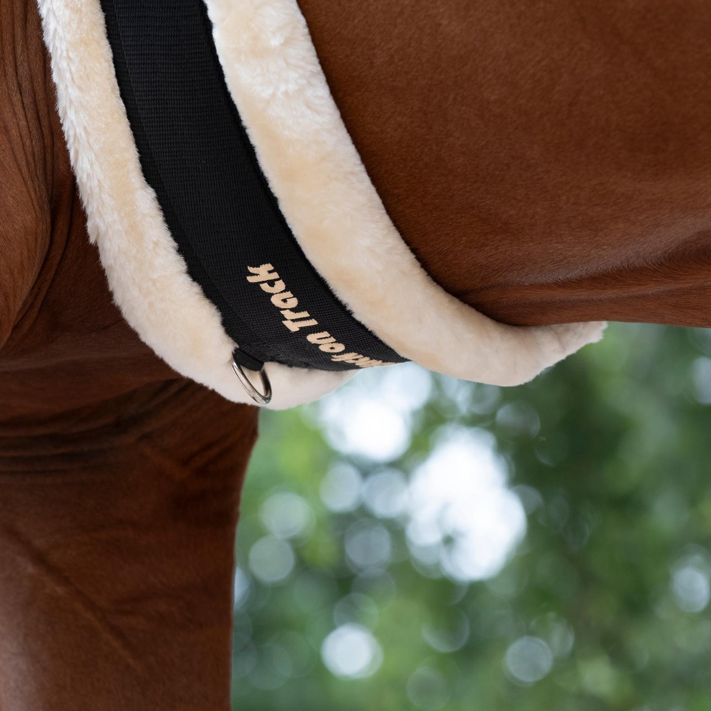 Sadelgjord med konstpäls style "Dalby"