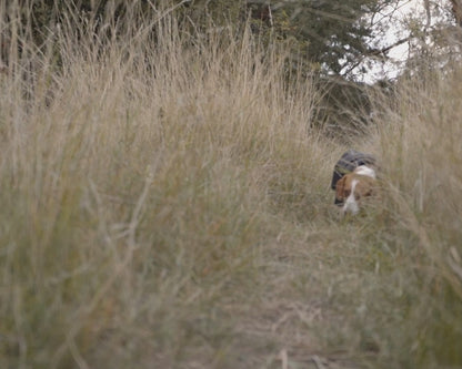 BUDDY 2.0 Softshelltäcke