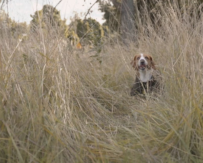 BUDDY 2.0 Netdækken