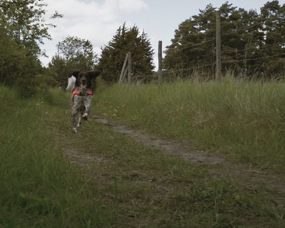 POINT Signalvest Synlighed